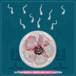 La PMA et sa règlementation